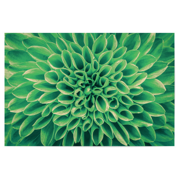 Poster "Blume mint grün" artboxONE - Floral,Abstrakt - Blüte,Pattern,Pflanze
