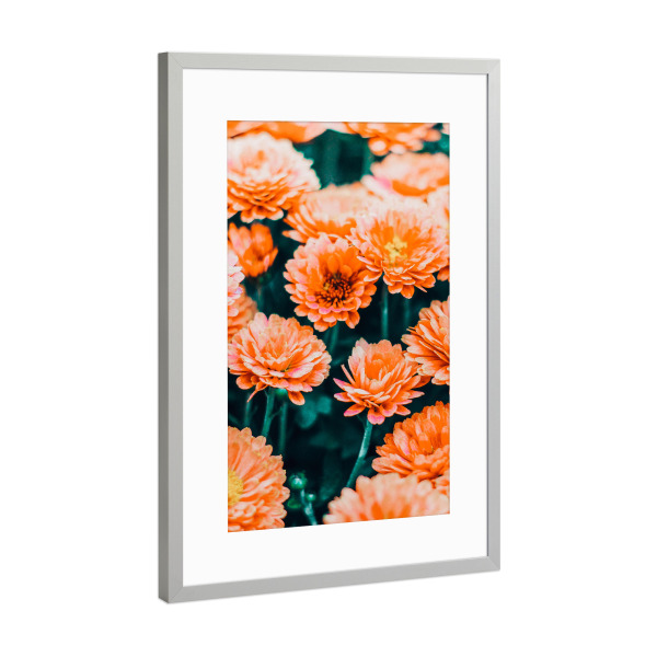 Poster mit Rahmen Silber "February" artboxONE - Floral - Flower,Blossom