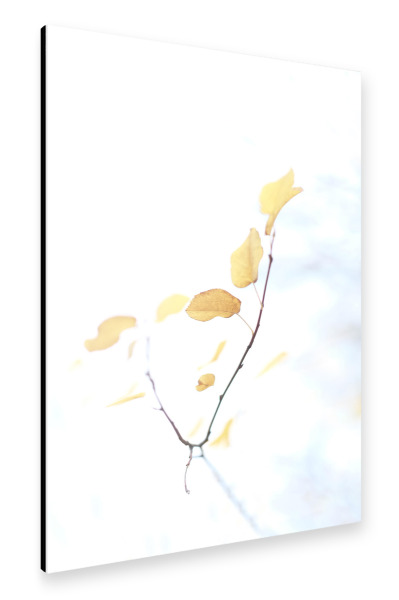 Alu-Dibond "Herbstgold" 30x20 cm artboxONE