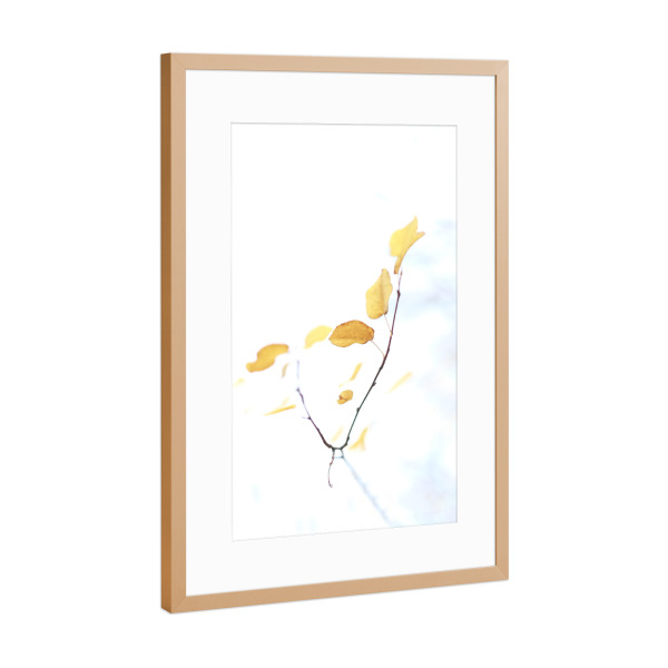 Poster mit Rahmen Kupfer "Herbstgold" artboxONE - Natur - Pflanze,Blätter