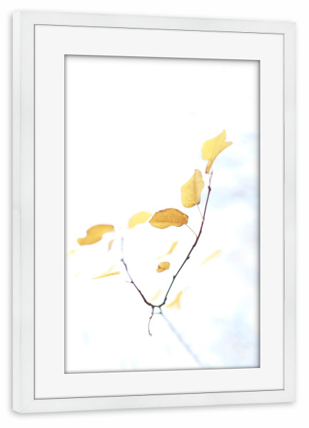 Poster mit Rahmen weiß "Herbstgold" artboxONE - Natur - Pflanze,Blätter