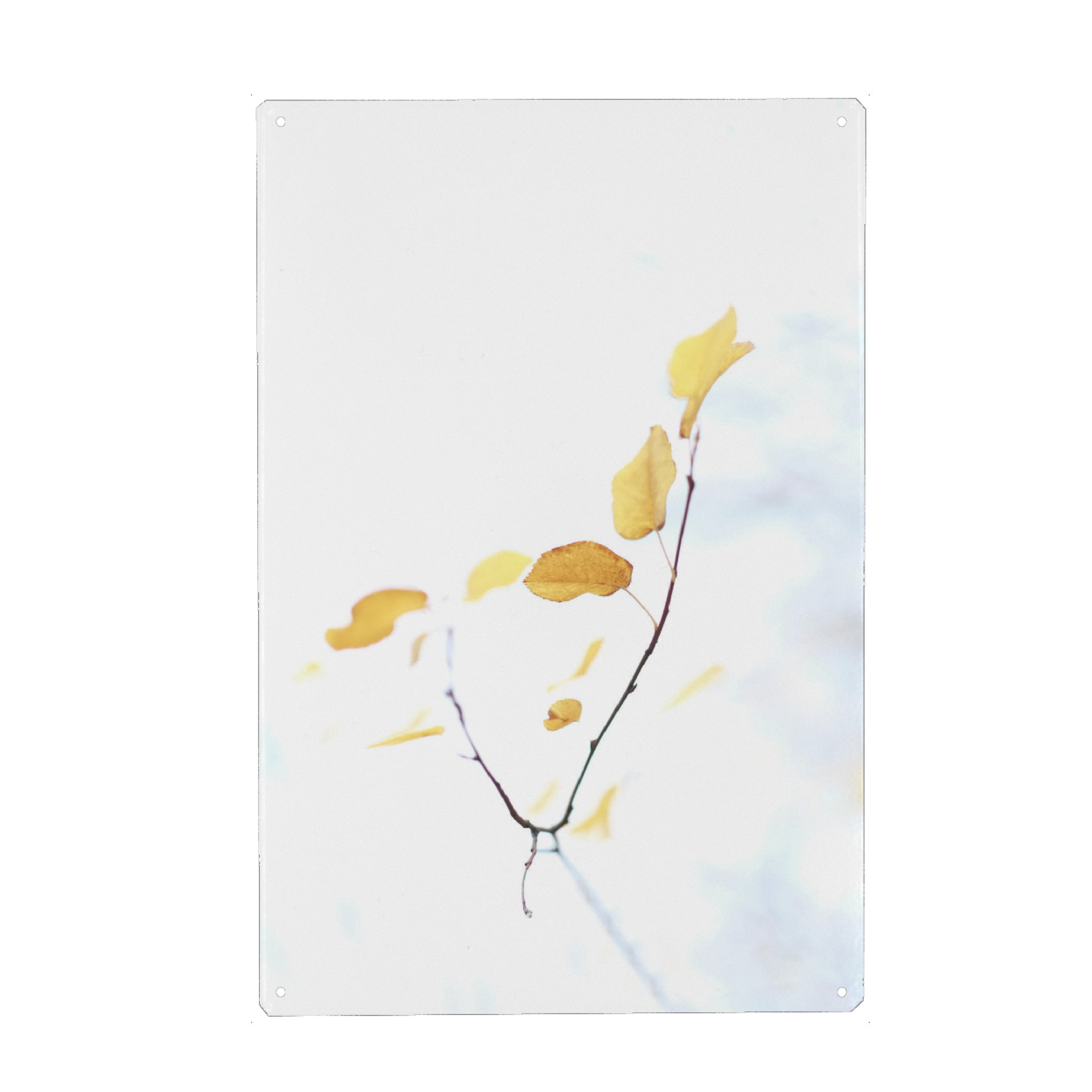 Metall Poster "Herbstgold" artboxONE - Natur - Pflanze,Blätter - Blechschild