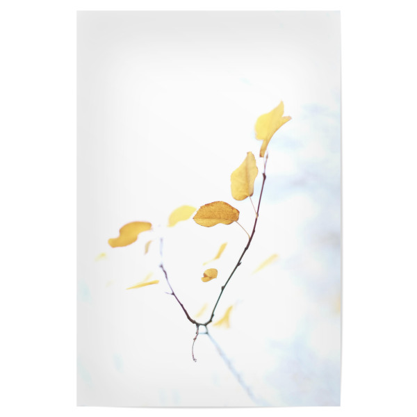 Poster 30x20 cm "Herbstgold" artboxONE - Natur - Pflanze,Blätter
