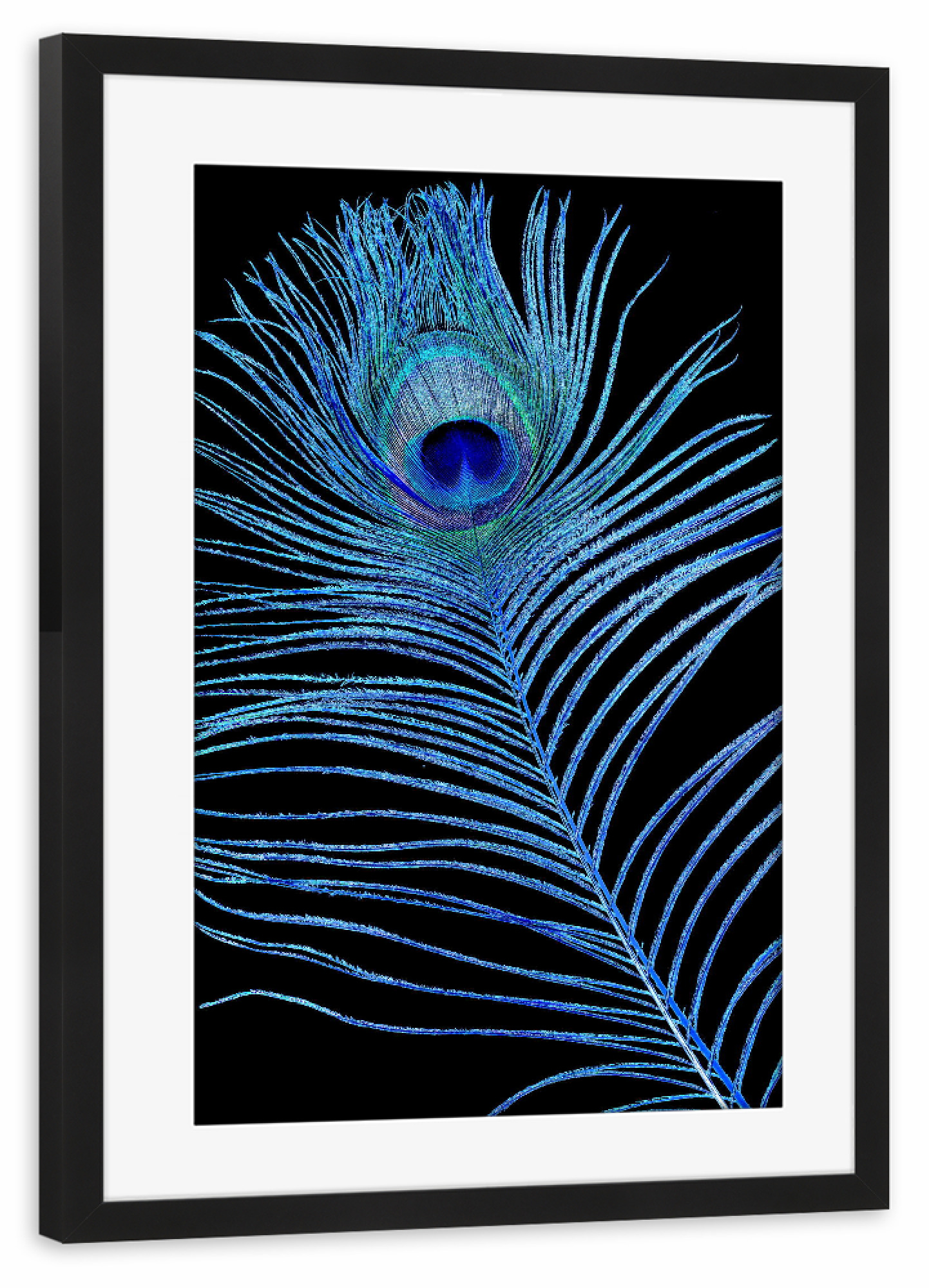 Poster mit Rahmen schwarz "Pfauenauge Feder blau schwarz" artboxONE - Abstrakt - Pfauenfeder,Feder,Muster