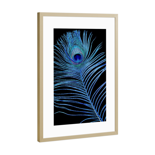 Poster mit Rahmen Gold "Pfauenauge Feder blau schwarz" artboxONE - Abstrakt - Pfauenfeder,Feder,Muster