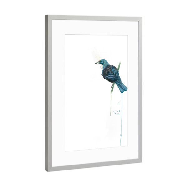 Poster mit Rahmen Silber "The Tui (Parson Bird)" artboxONE - Natur,Tiere - Vogel,Neuseeland,Tui,Parson,Atearoa