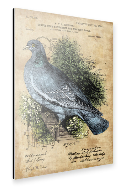 Alu-Dibond "Steampunk Wildtaube" 30x20 cm artboxONE