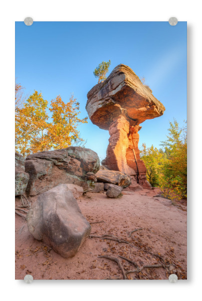 Acrylglasbild "Teufelstisch" artboxONE - Natur,Reise - Rheinland-pfalz,Pfälzerwald,Hinterweidenthal,Teufelstisch,Felsen,Natur,Herbst