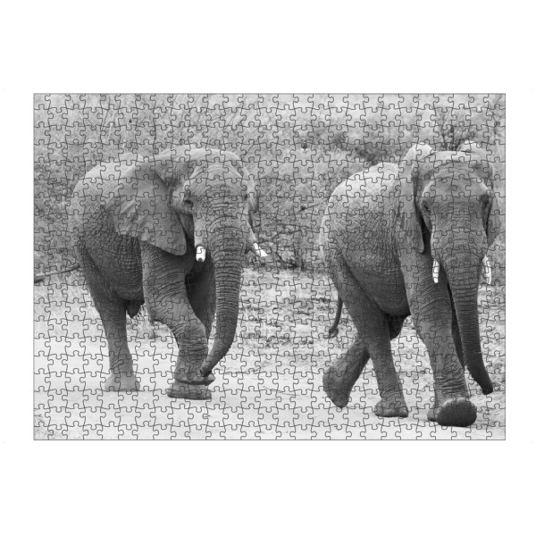 Puzzle Ravensburger "Elefanten Trott" artboxONE - Natur,Tiere,Schwarzweiß,Reise / Afrika - Elefanten,Dickhäuter,Afrika - Bild elefanten
