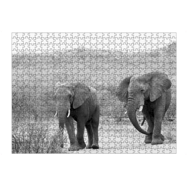 Puzzle Ravensburger "Zwei Elefanten" artboxONE - Tiere,Schwarzweiß,Reise / Afrika - Elefanten,Afrika,Dickhäuter - Bild elefanten