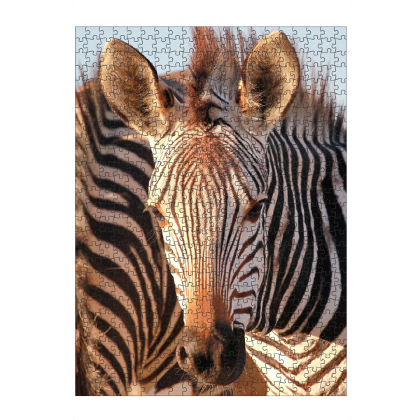 Puzzle Ravensburger "Do you see me" artboxONE - Tiere,Reise / Afrika - Zebra,Portrait,Streifen,Afrika - Bild zebra