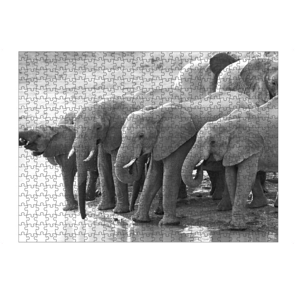 artboxONE Puzzle "Elefanten Herde trinkt" artboxONE - Tiere,Schwarzweiß,Reise / Afrika - Elefanten,Elefantenherde,Afrika - Bild elefanten