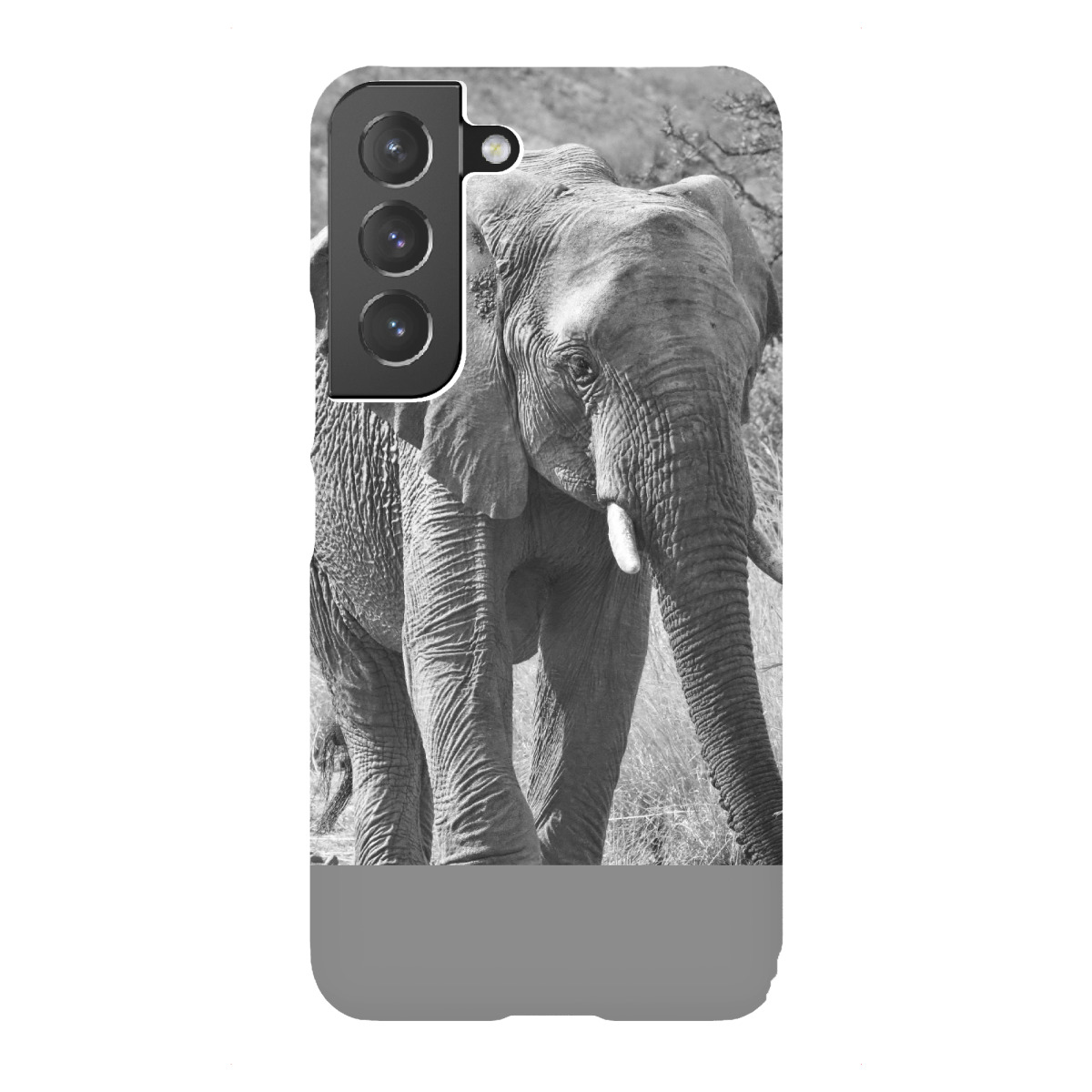 Samsung Galaxy "Grosser Elefantenbulle" Premium-Case Handyhülle artboxONE