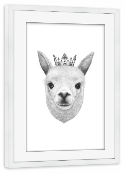 Poster mit Rahmen weiß "The King Lama" artboxONE - Tiere,Schwarzweiß - Lama,Alpaca,King,Royal,Black and white,Cown,Krone,König