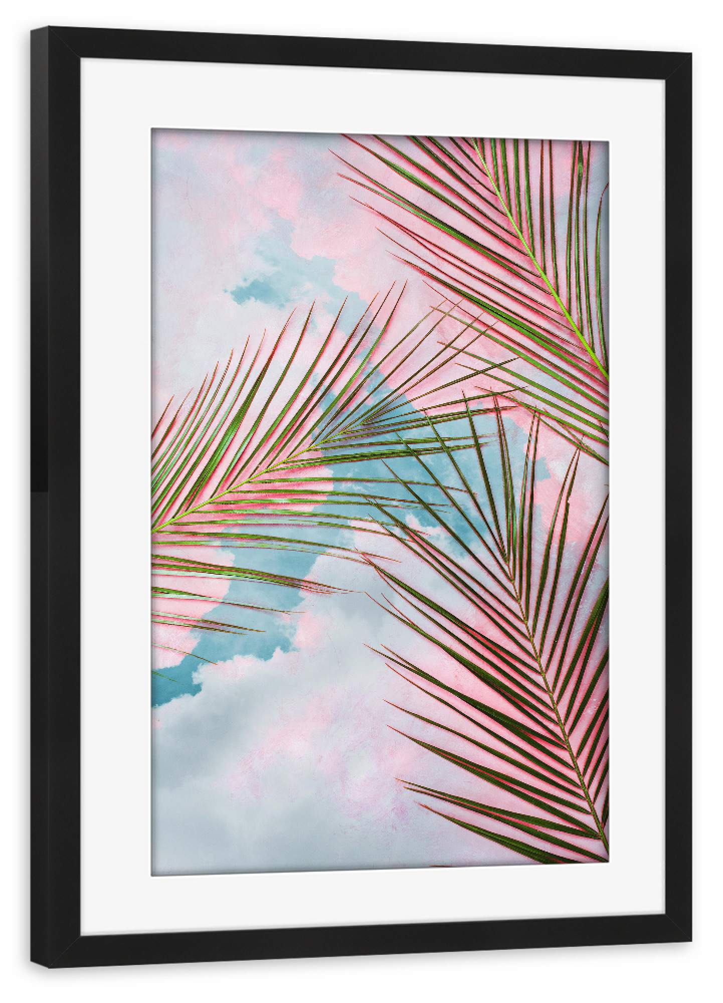 Poster mit Rahmen schwarz "Palms + Sky" artboxONE - Natur
