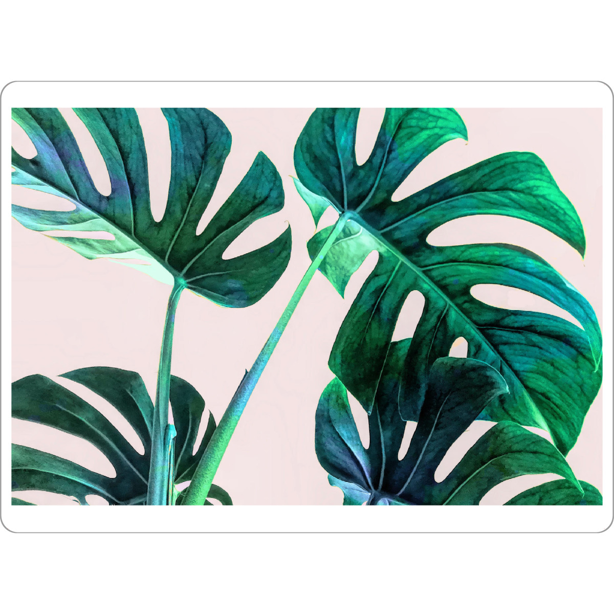 Tischset "Wild Leaves" artboxONE - Natur