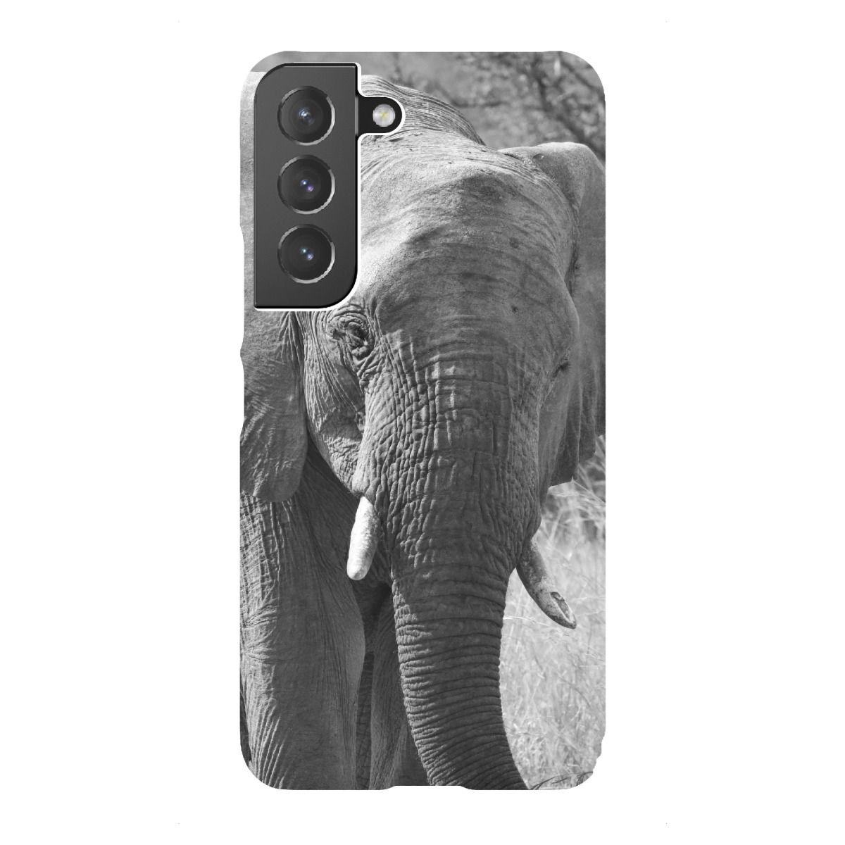 "Elefant von vorne"für Samsung Galaxy - Premium-Case Handyhülle artboxONE