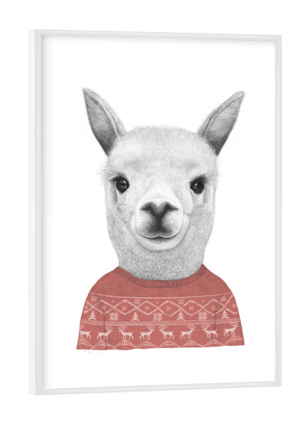 Poster mit weißem Rahmen "Lama in a sweater" artboxONE - Tiere,Schwarzweiß,Weihnachten - Lama,Christmas,Ugly sweater,Alpaca,Xmas