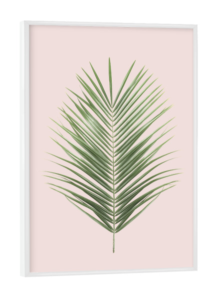 Poster mit weißem Rahmen "Tropical Blush Palm Leaf" artboxONE - Natur,Floral - Palm leaf,Tropical leaf,Blush pink,Plant,Botanical,Green leaf