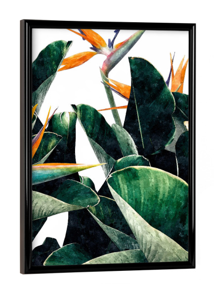 Poster mit schwarzem Rahmen "Paradise Bird" artboxONE - Natur