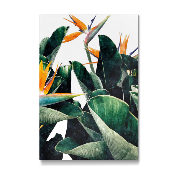 Galerie-Print "Paradise Bird" 30x20 cm artboxONE