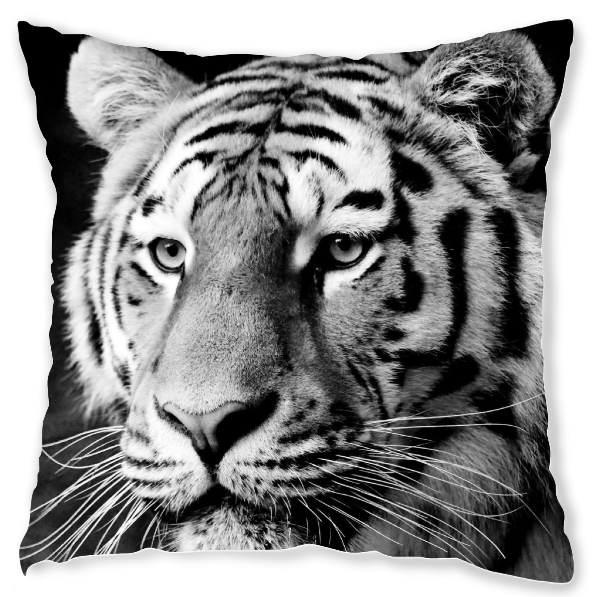 Design-Kissen "Tiger trߤumt" artboxONE - Tiere,Schwarzweiߟ,Reise / Afrika - Tiger,Tigerkopf,Portrait,Steifen