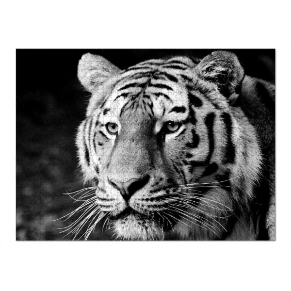 Puzzle Ravensburger "Tiger träumt" artboxONE - Tiere,Schwarzweiß,Reise / Afrika - Tiger,Tigerkopf,Portrait,Steifen - Bild tiger