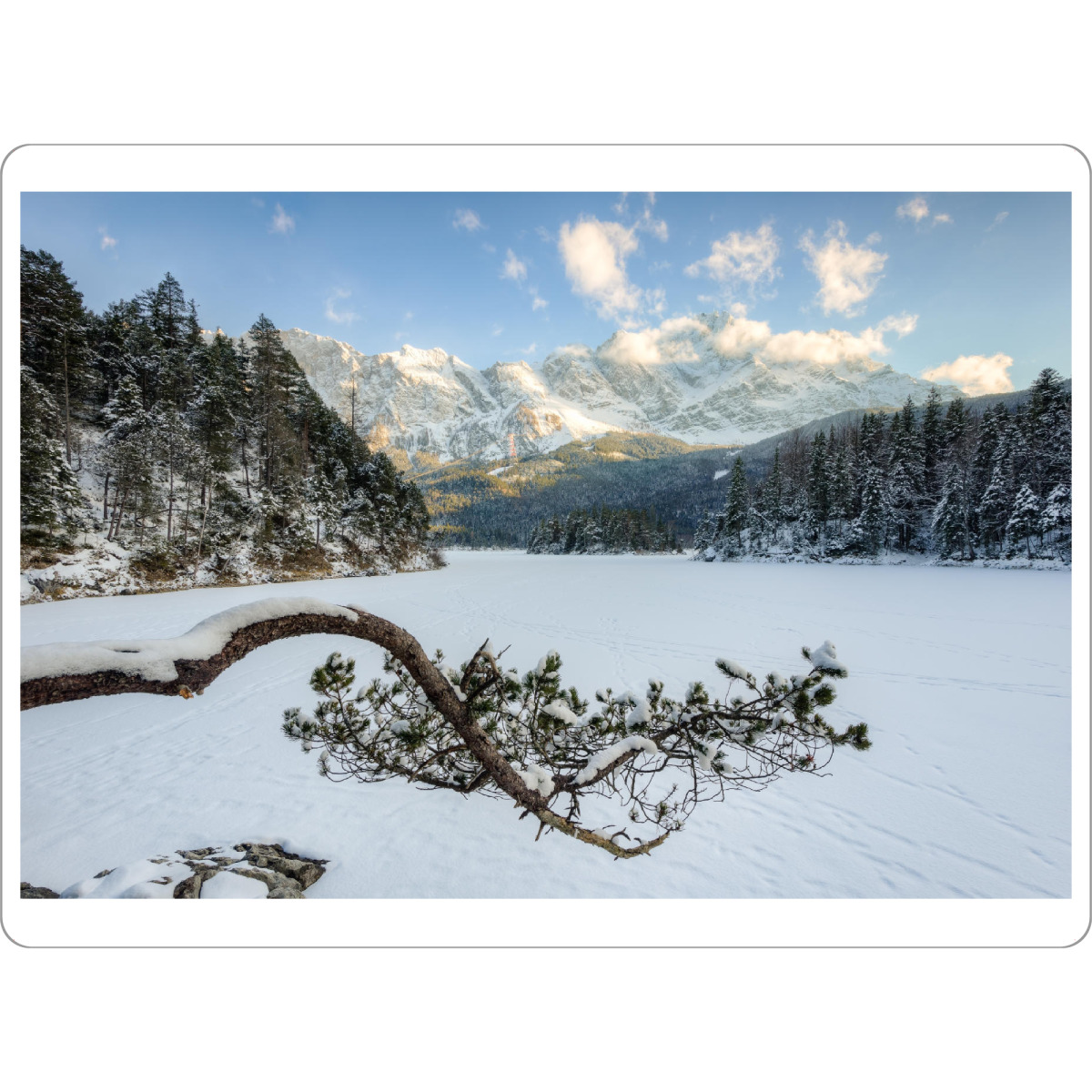 Tischset "Kiefer am Eibsee im Winter" artboxONE - Natur - Bayern,Zugspitze,Schnee,Winter,Kiefer,Eibsee,Alpen,Berge - Bild bayern