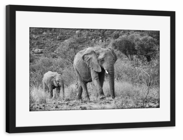 Poster mit Rahmen schwarz "Elefanten Mutter mit Kind" artboxONE - Natur,Tiere,Schwarzweiß,Reise / Afrika - Elefant,Afrika,Dickhäuter,Elefantenkind