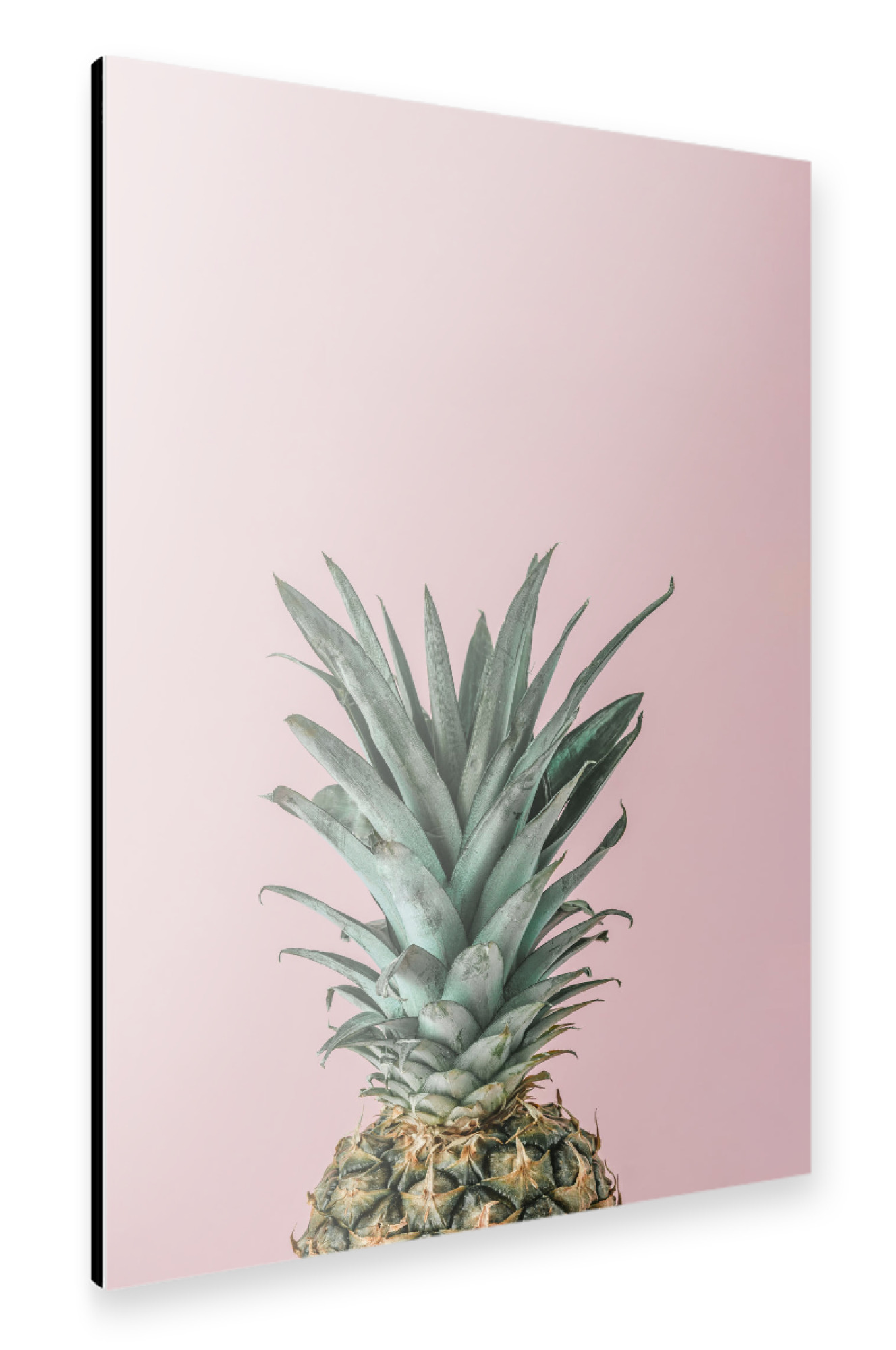 Alu-Dibond "Pineapple in pink background" 30x20 cm artboxONE