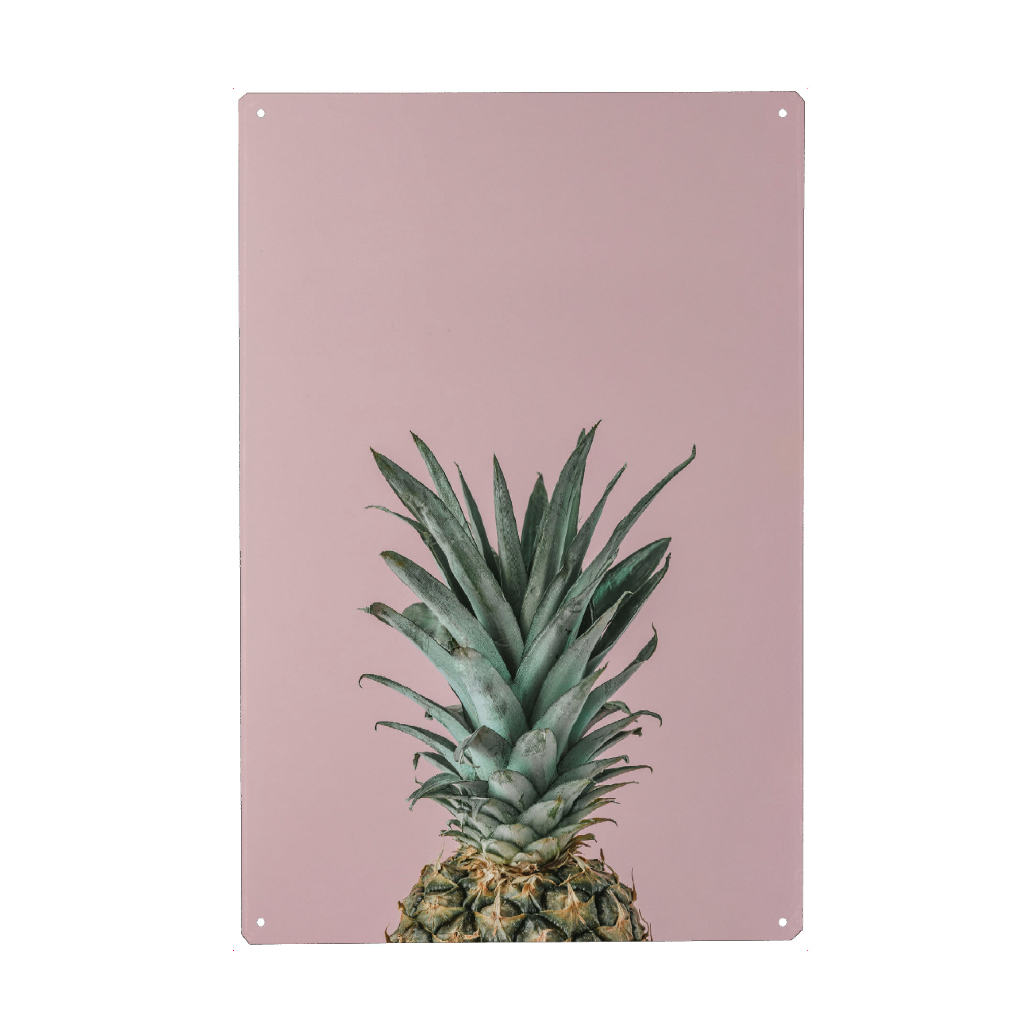 Holzbild "Pineapple in pink background" artboxONE - Essen & Trinken / Obst & Gemüse - Pineapple,Fruit,Obst,Ananas