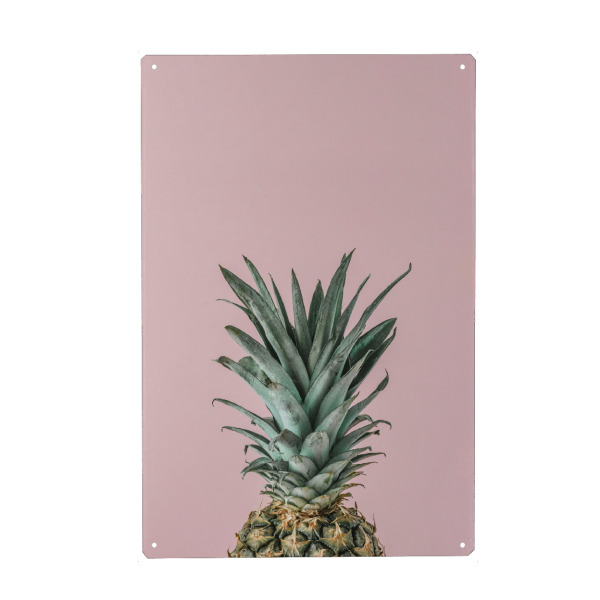 Metall Poster "Pineapple in pink background" artboxONE - Essen & Trinken / Obst & Gemüse - Pineapple,Fruit,Obst,Ananas - Blechschild