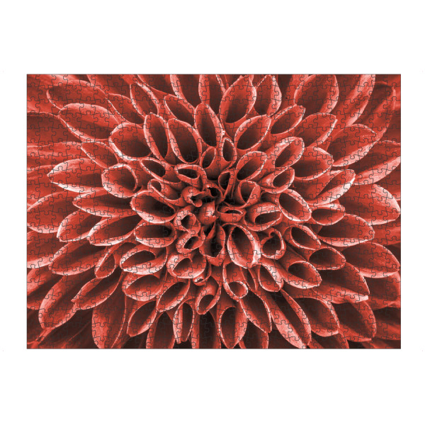 Puzzle Ravensburger "Living Coral Flower" artboxONE - Floral - Blume,Blüte,Pflanze,Pantone - Bild blume