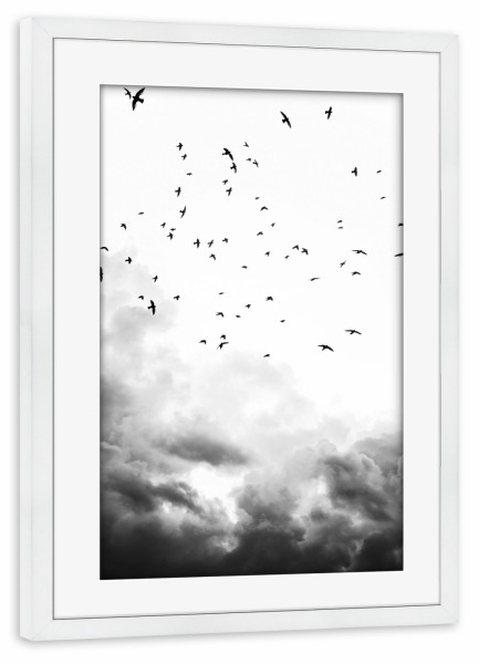 Poster mit Rahmen weiß "In the sky and above" artboxONE - Natur,Schwarzweiß - Black and white,Birds,Sky,Clouds,Minimalist,Nature