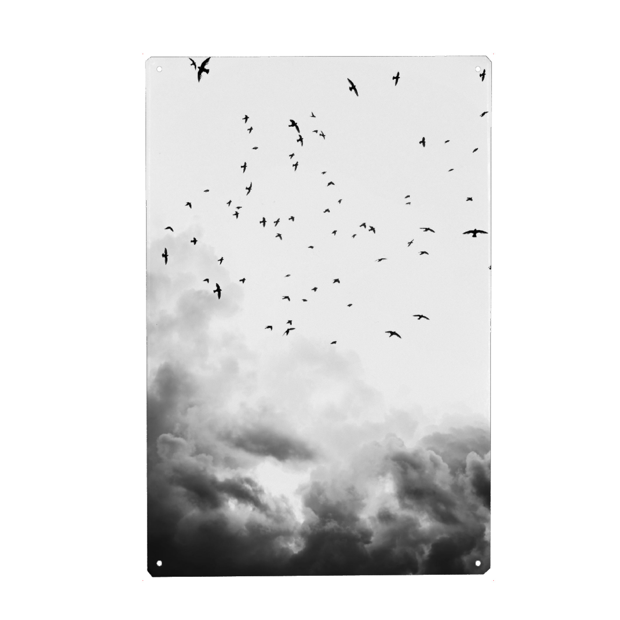 Metall Poster "In the sky and above" artboxONE - Natur,Schwarzweiß - Black and white,Birds,Sky,Clouds,Minimalist,Nature - Blechschild