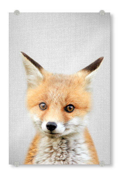 Acrylglasbild "Baby Fox - Colorful" artboxONE - Tiere