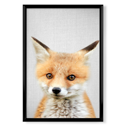 Baby Fox - Colorful