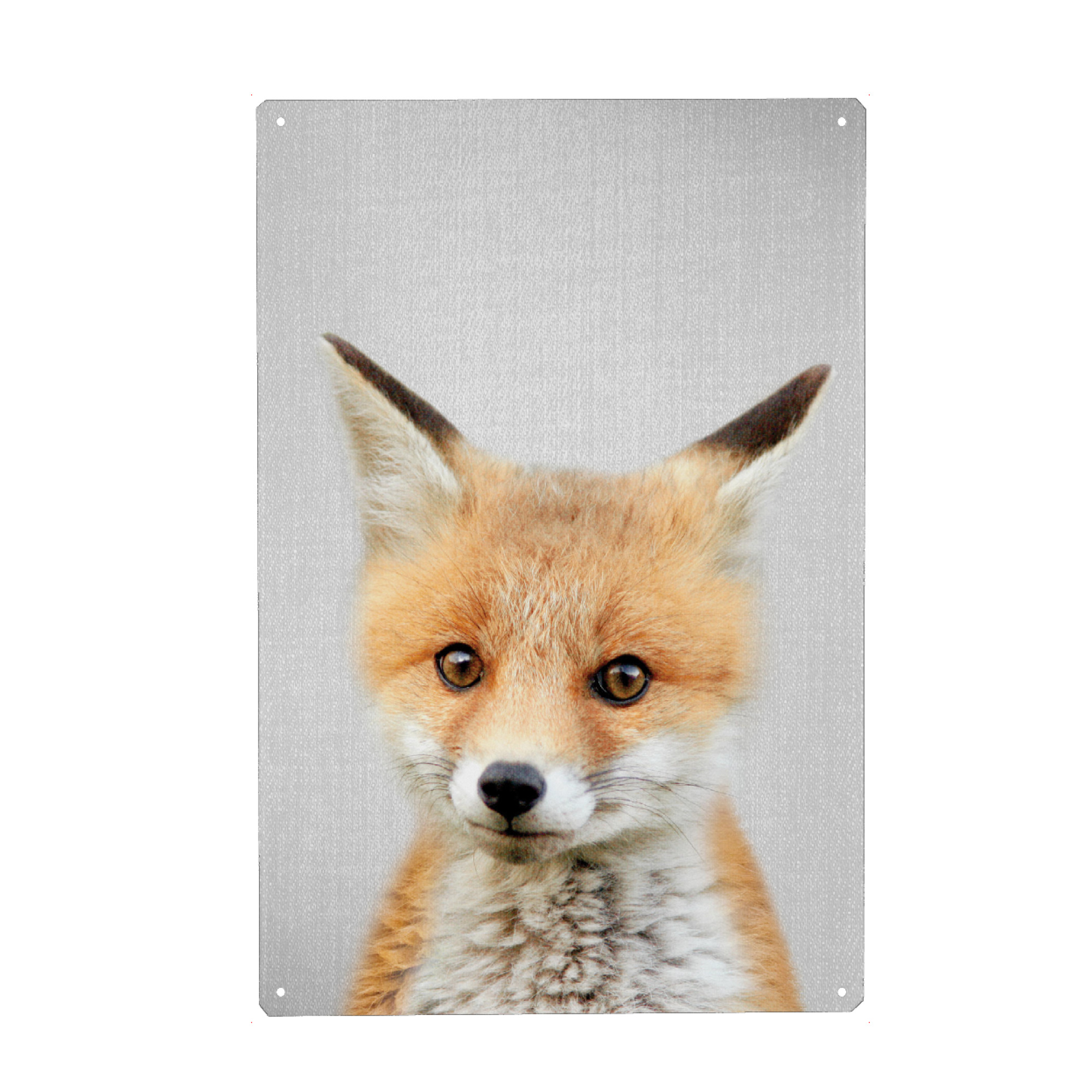 Holzbild "Baby Fox - Colorful" artboxONE - Tiere