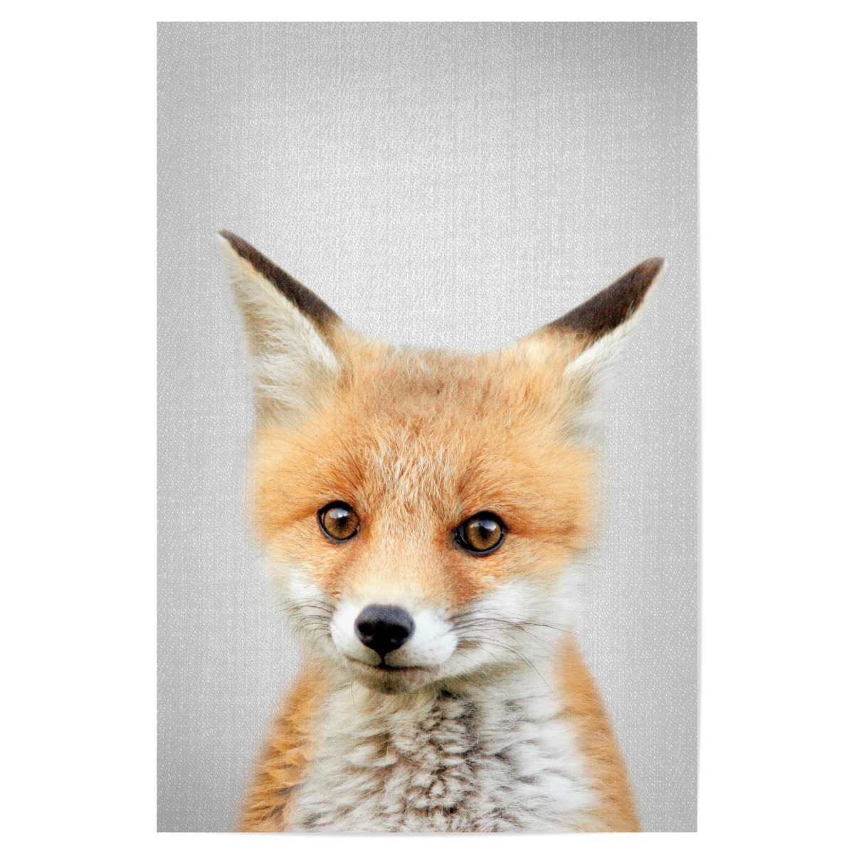 Baby Fox Colorful Als Poster Bei Artboxone Kaufen