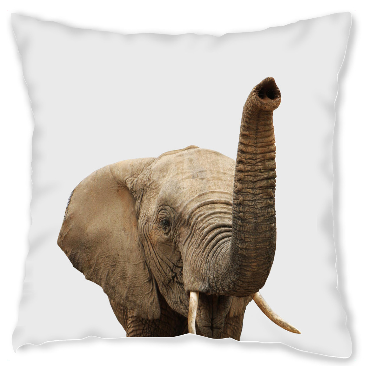 Design-Kissen "Elephant African Animal" artboxONE - Tiere