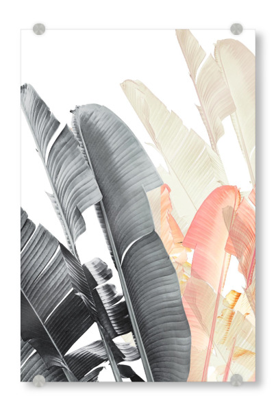 Acrylglasbild "Banana Leaves Abstract" artboxONE - Natur,Abstrakt,Schwarzweiß - Banana leaves,Banana leaf,Tropical leaves