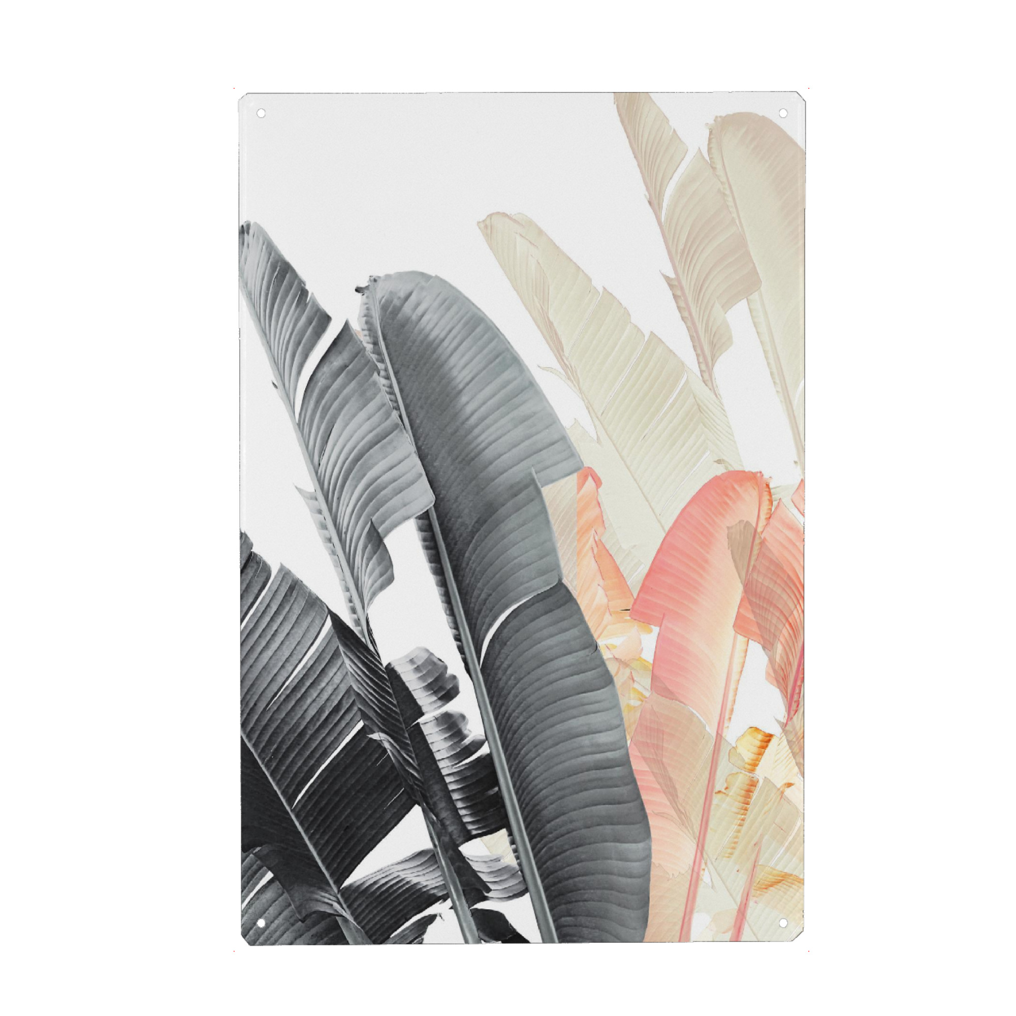 Metall Poster "Banana Leaves Abstract" artboxONE - Natur,Abstrakt,Schwarzweiß - Banana leaves,Banana leaf,Tropical leaves - Blechschild