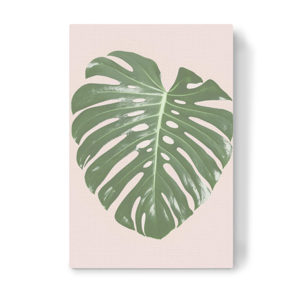 Leinwandbild "Tropical Blush I" artboxONE - Floral - Monstera leaf,Tropical,Blush pink,Plant,Leaf,Palm leaf,Photography