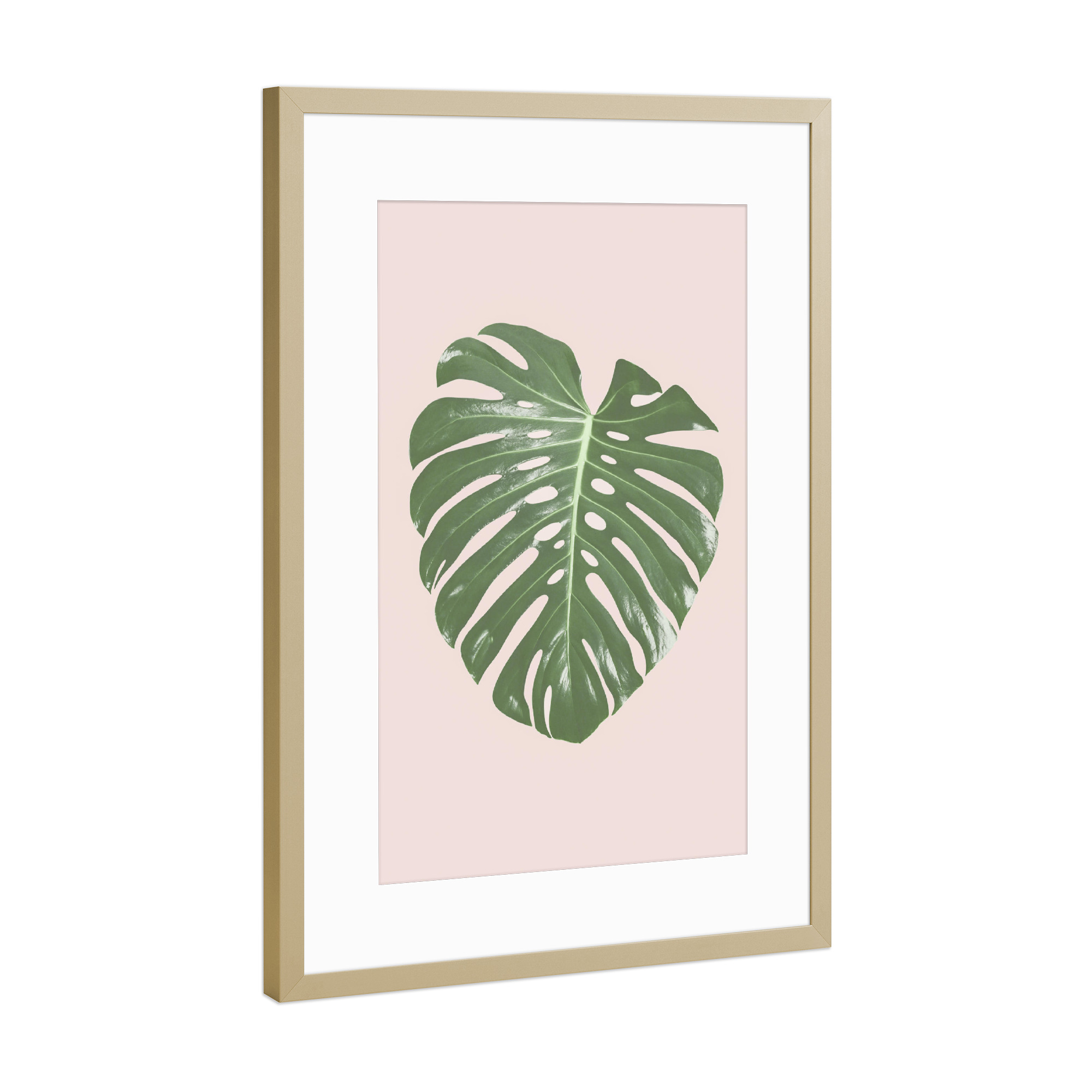Poster mit Rahmen Gold "Tropical Blush I" artboxONE - Floral - Monstera leaf,Tropical,Blush pink,Plant,Leaf,Palm leaf,Photography