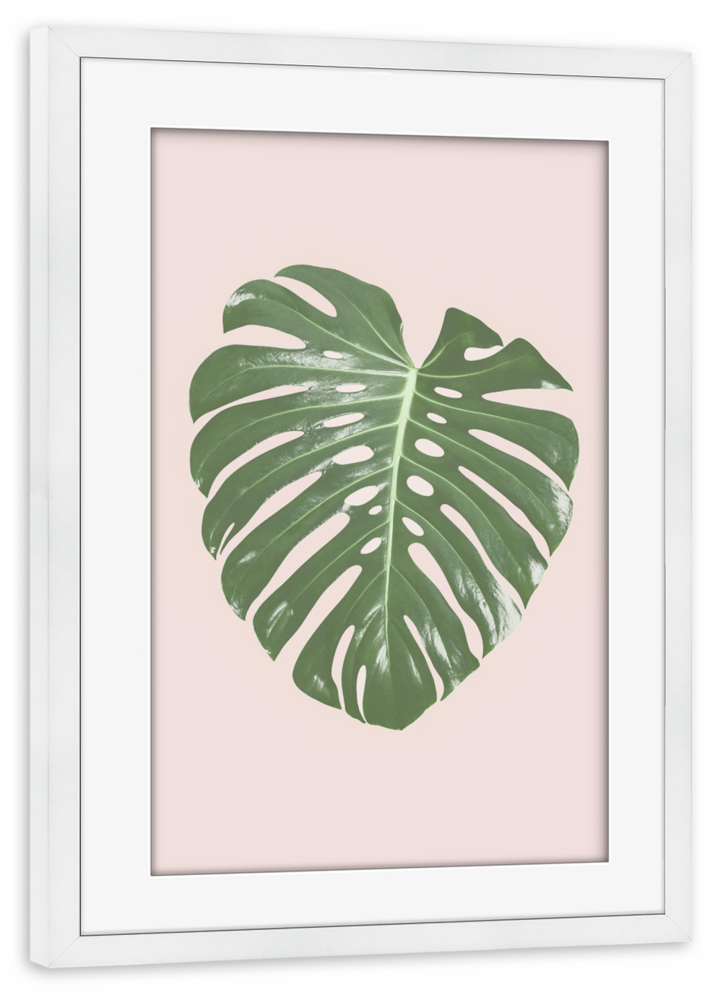 Poster mit Rahmen weiß "Tropical Blush I" artboxONE - Floral - Monstera leaf,Tropical,Blush pink,Plant,Leaf,Palm leaf,Photography