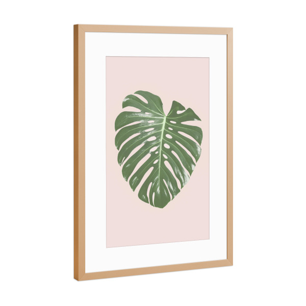 Poster mit Rahmen Kupfer "Tropical Blush I" artboxONE - Floral - Monstera leaf,Tropical,Blush pink,Plant,Leaf,Palm leaf,Photography