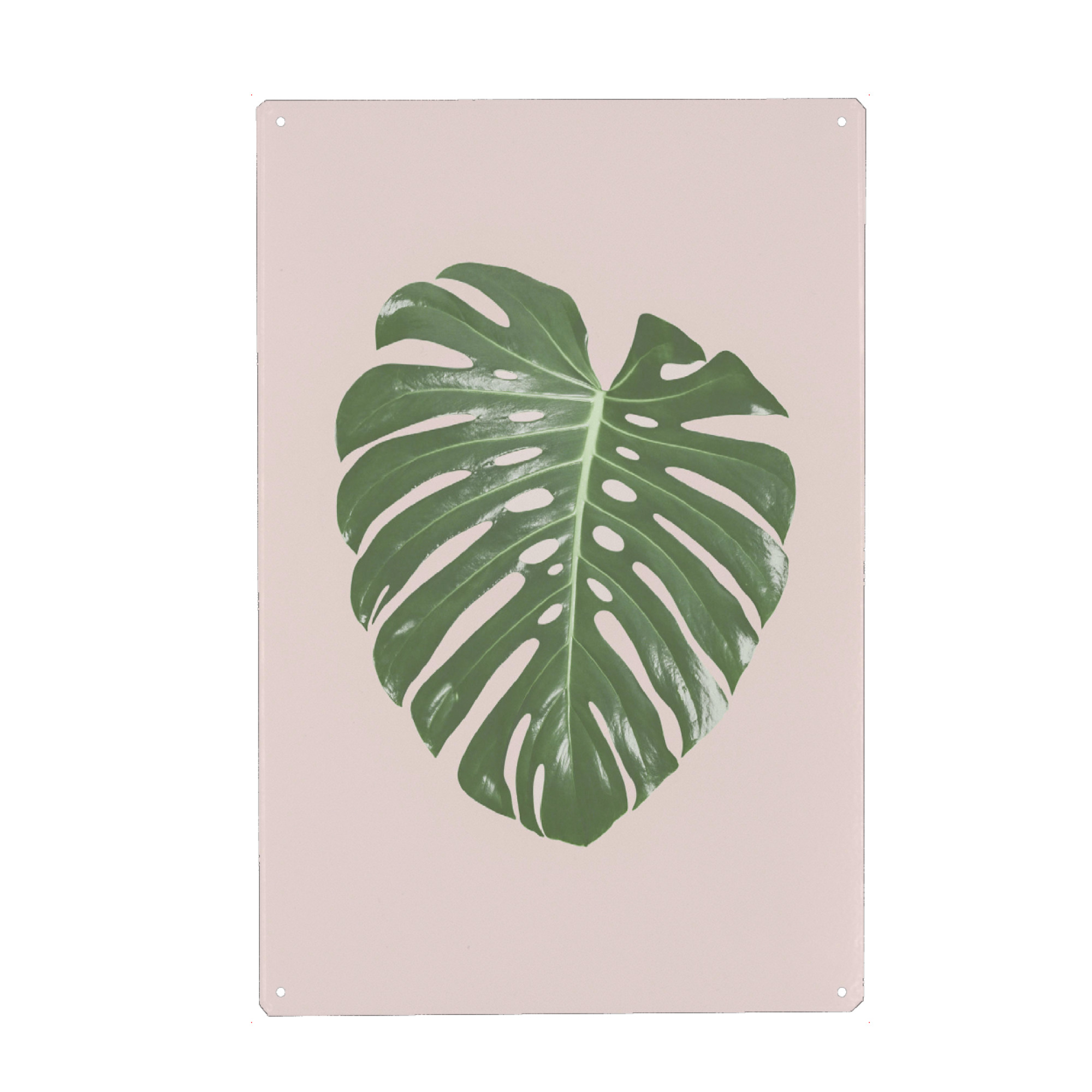 Holzbild "Tropical Blush I" artboxONE - Floral - Monstera leaf,Tropical,Blush pink,Plant,Leaf,Palm leaf,Photography
