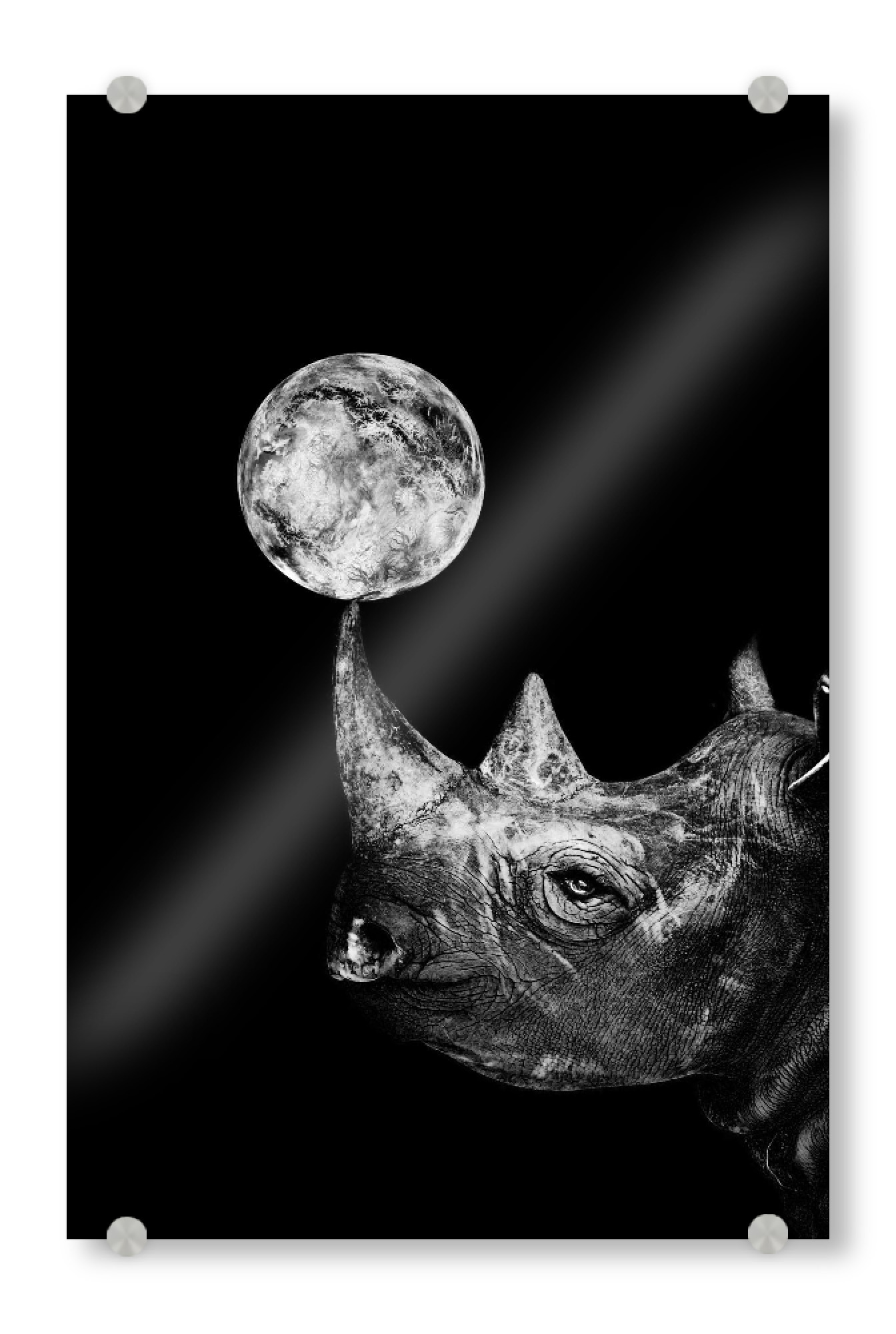 Acrylglasbild "RhinoSPACE" artboxONE - Tiere,Schwarzweiß,Galaxy - Nashorn,Mond,Tier