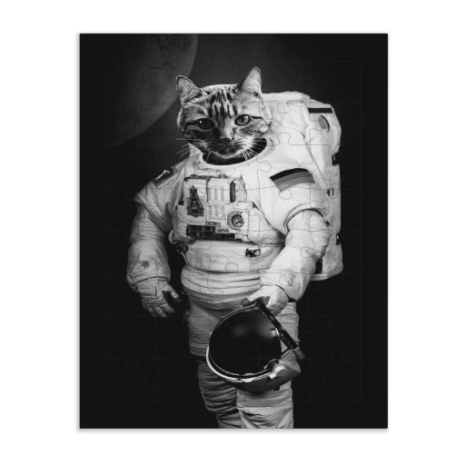 AstroCAT