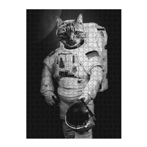 AstroCAT